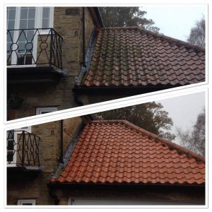 roof clean before and after